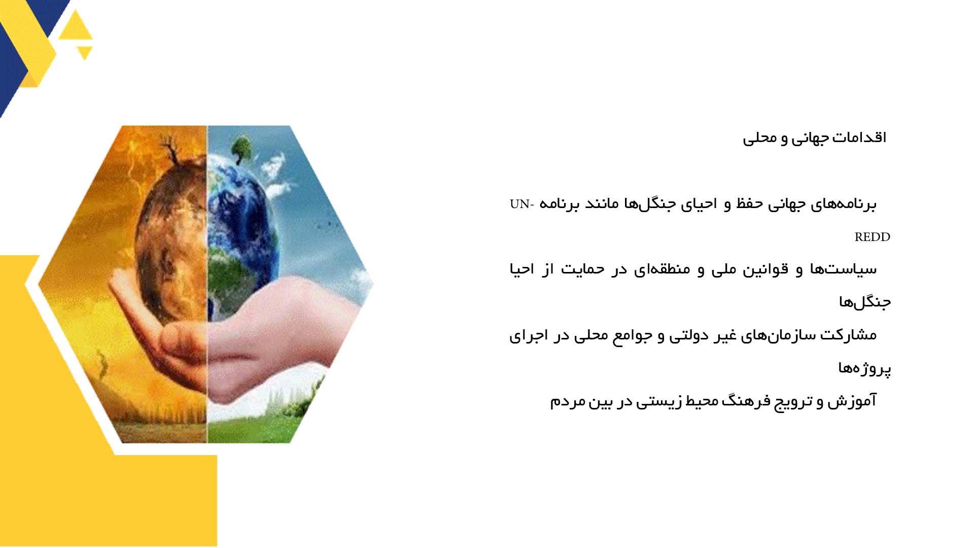 پاورپوینت در مورد تکثیر و احیای اکوسیستم جنگلی